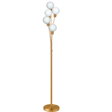 Dainolite 306F-AGB - 5 Light Incandescent Floor Lamp Aged Brass Finish with White Glass