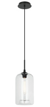 Matteo Lighting C41408CL - Organic Charm Pendant - Black w/ Clear Glass