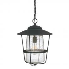 Capital Canada 9604BK - 1 Light Outdoor Hanging Lantern