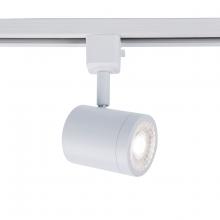  H-8010-30-WT - 8010 Energy Star Track Luminaire