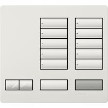  LFK-T10RL-SW - LARGE 10 BUTTON FACEPLATE KIT SW