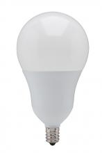  S21803 - 6 Watt; A19 LED; 5000K; Candelabra base; 220 deg. Beam Angle; 120 Volt