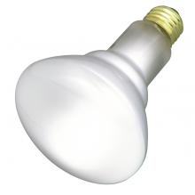  S2808 - 65 Watt BR30 Incandescent; Frost; 2000 Average rated hours; 685 Lumens; Medium base; 120 Volt