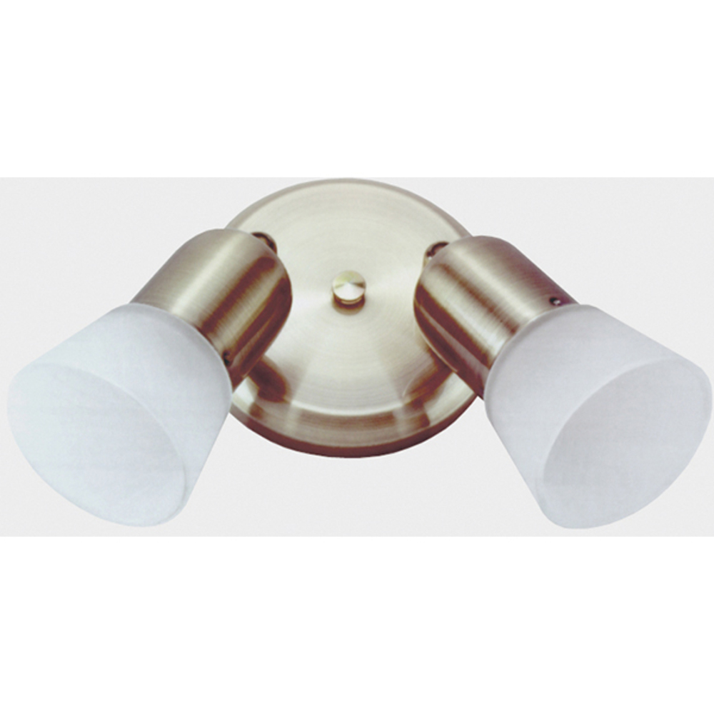 Omni, Double Head Ceiling/Wall, Frosted Glass, 60W A15 or R16