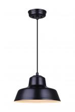  IPL1095A01BK - Levi 1 Light Pendant, Black Finish