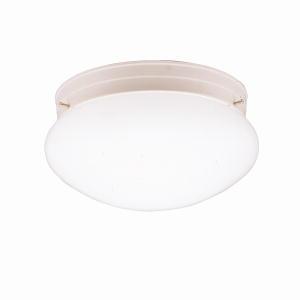 Flush Mount 1Lt