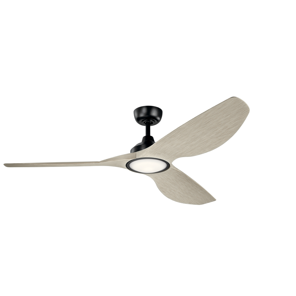 65" IMARI Fan LED