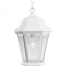 Progress P5582-30 - Welbourne Collection One-Light Hanging Lantern