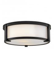  28963BK - Small Flush Mount