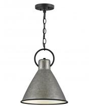 Hinkley Canada 3557RP - Small Pendant