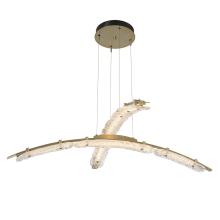 Hubbardton Forge - Canada 137587-LED-STND-86-ZM0749 - Glissade Double Large LED Pendant