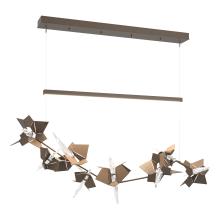 Hubbardton Forge - Canada 139813-LED-STND-05-05-CR - Belladonna LED Pendant