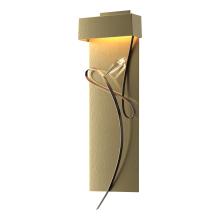 Hubbardton Forge - Canada 205440-LED-86-05-CR - Rhapsody LED Sconce