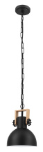 Eglo Canada 204201A - 1 LT Mini Pendant w/ Black Finish & Black w/ White Interior Metal Shade w/ Wood Accent