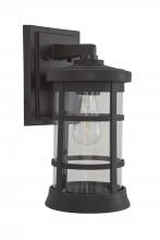  ZA2314-BZ-C - Resilience Large Outdoor Lantern in Bronze, Clear Lens